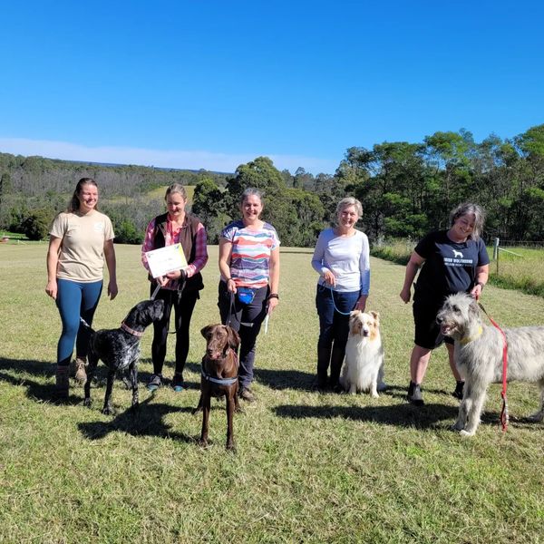 Nosework Class graduation