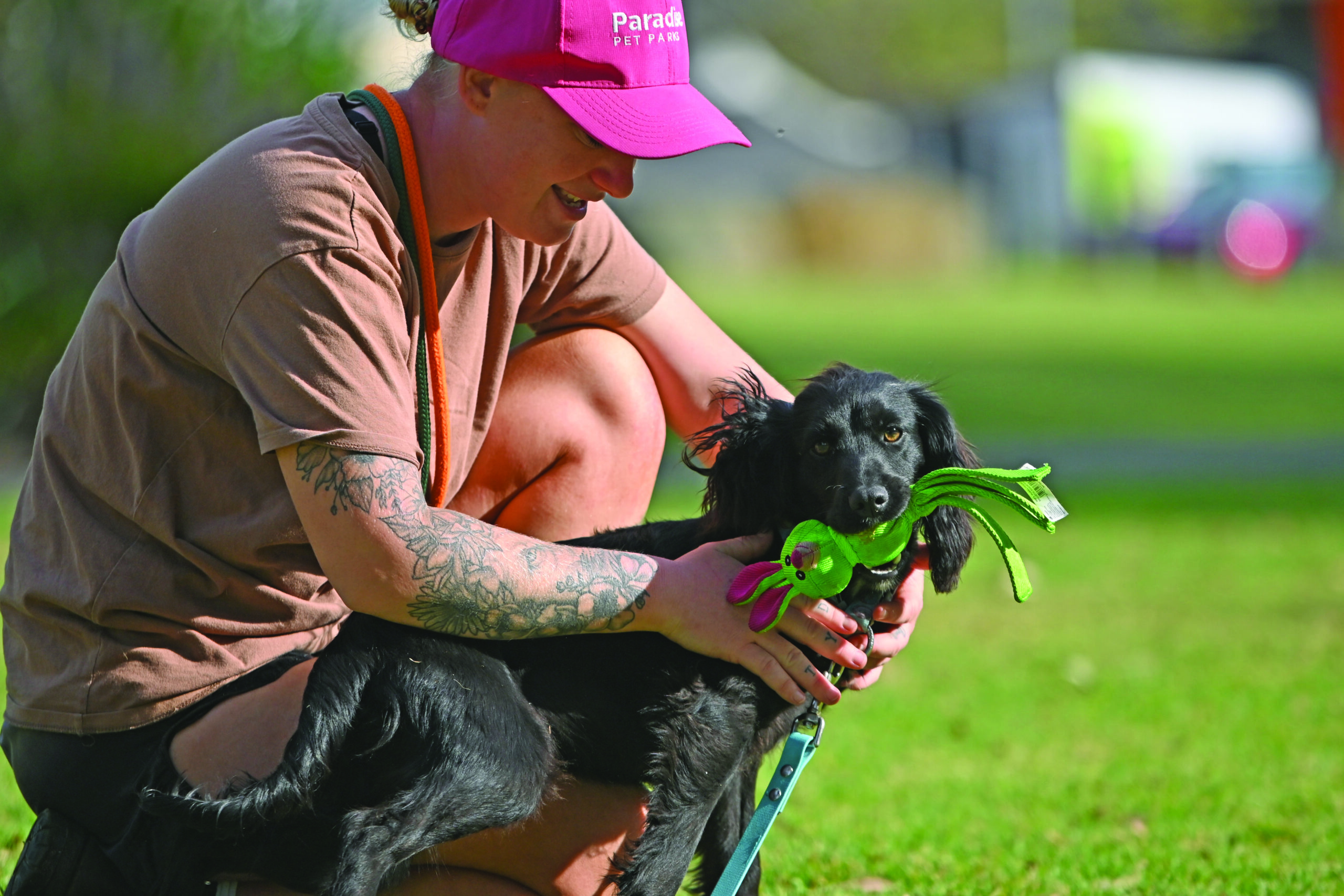 Paradise Pet Parks: black dog and owner during one-on-one dog training session.